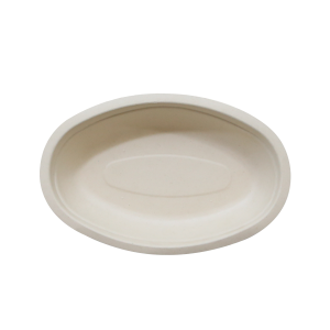Bagasse Bowl