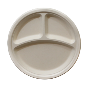 Bagasse Plate