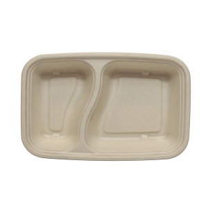 Bagasse Box