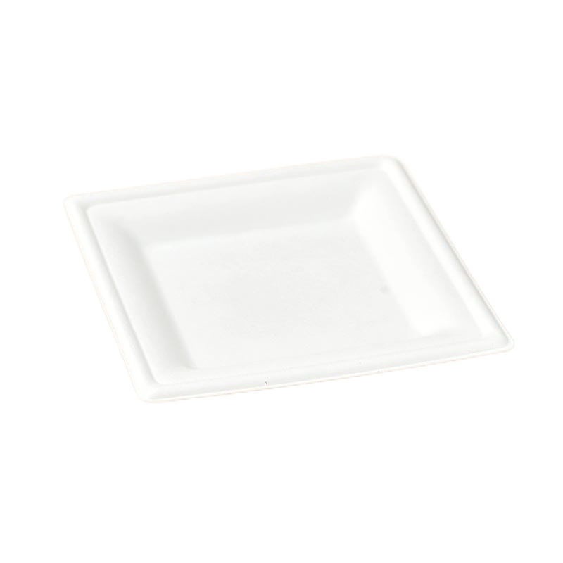 10" Square Plate