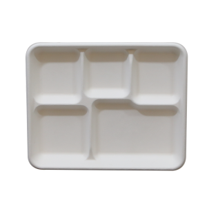 Bagasse Tray