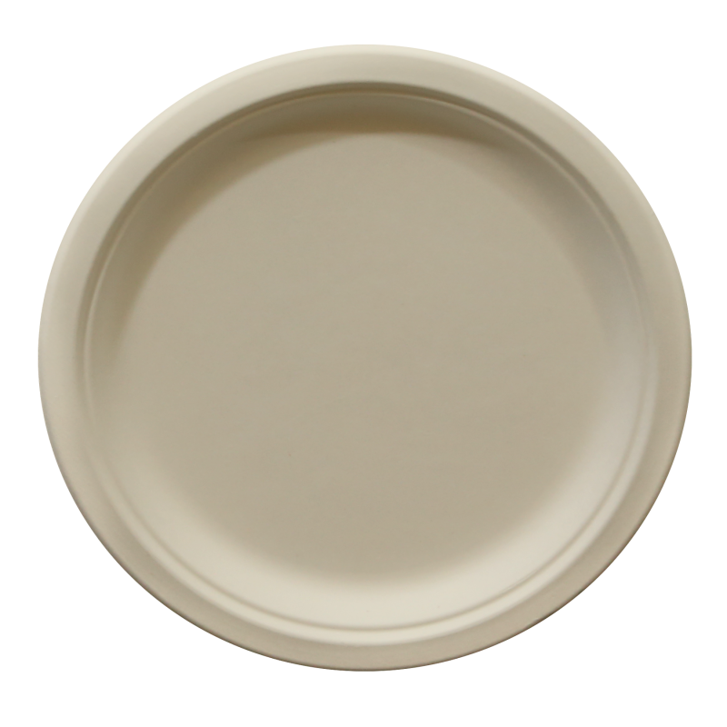 10'' round plate